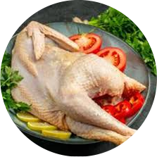 Chicken Meat